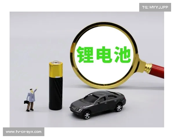 全球第四大电池制造商自曝危机:我们已经走投无路,面临生死存亡考验 全球第四大电池制造商自曝危机:我们已经走投无路,面临生死存亡考验